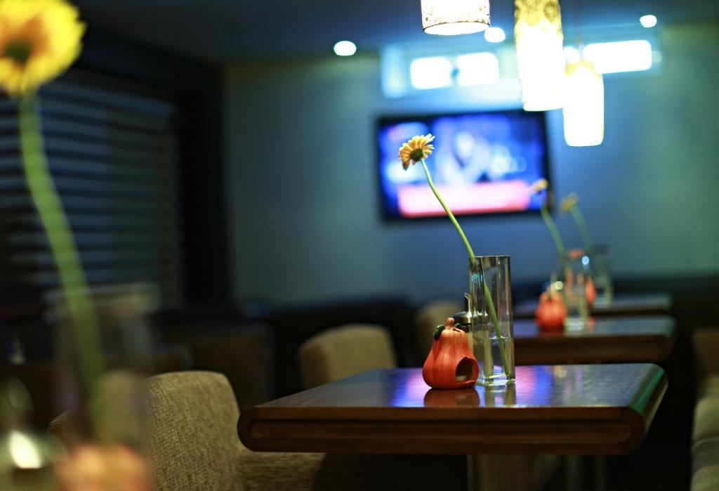 Penzion Le Monde Hotel Bardejov Ngoại thất bức ảnh